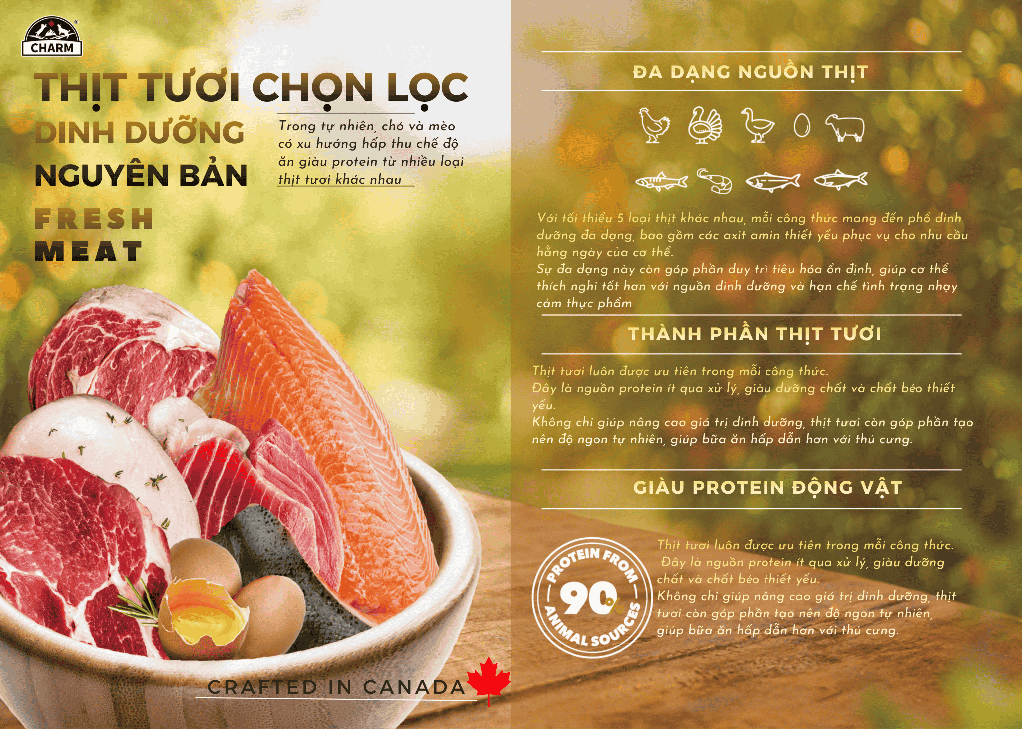 Thức Ăn Hạt Chó cao cấp Gà Cá CHARM Cage-Free Chicken Dog Food Canada- Chọn