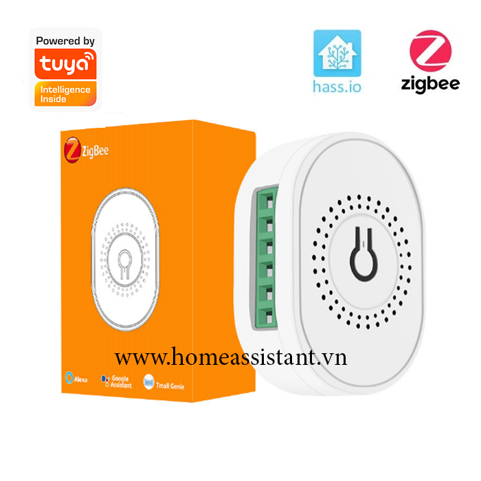 Module Công Tắc Zigbee Tuya 16A Cho Công Tắc Cơ ZMC16 (Hỗ trợ Home Assistant)