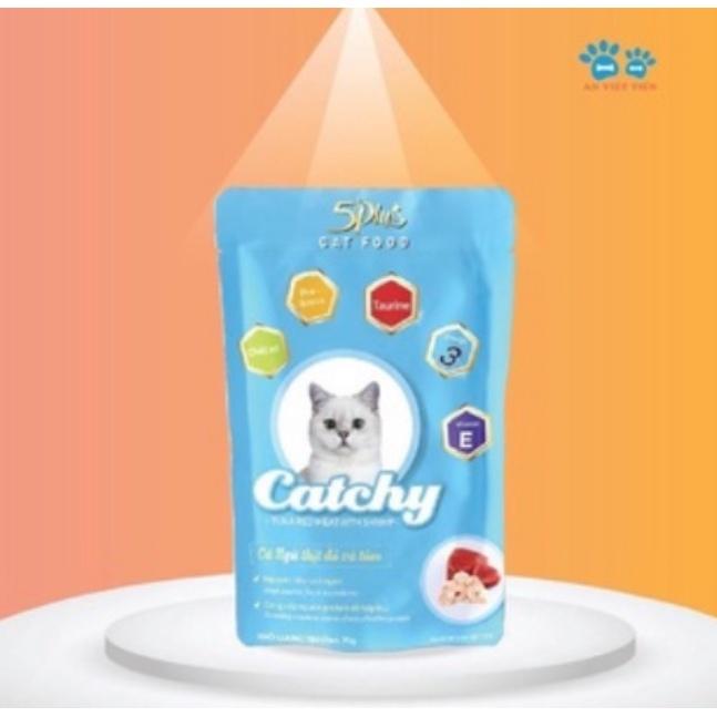 Combo 10 và 20 gói Pate Catchy 5plus dành cho mèo cưng dạng gói 70g nhiều vị hàng việt nam chất lượng cao