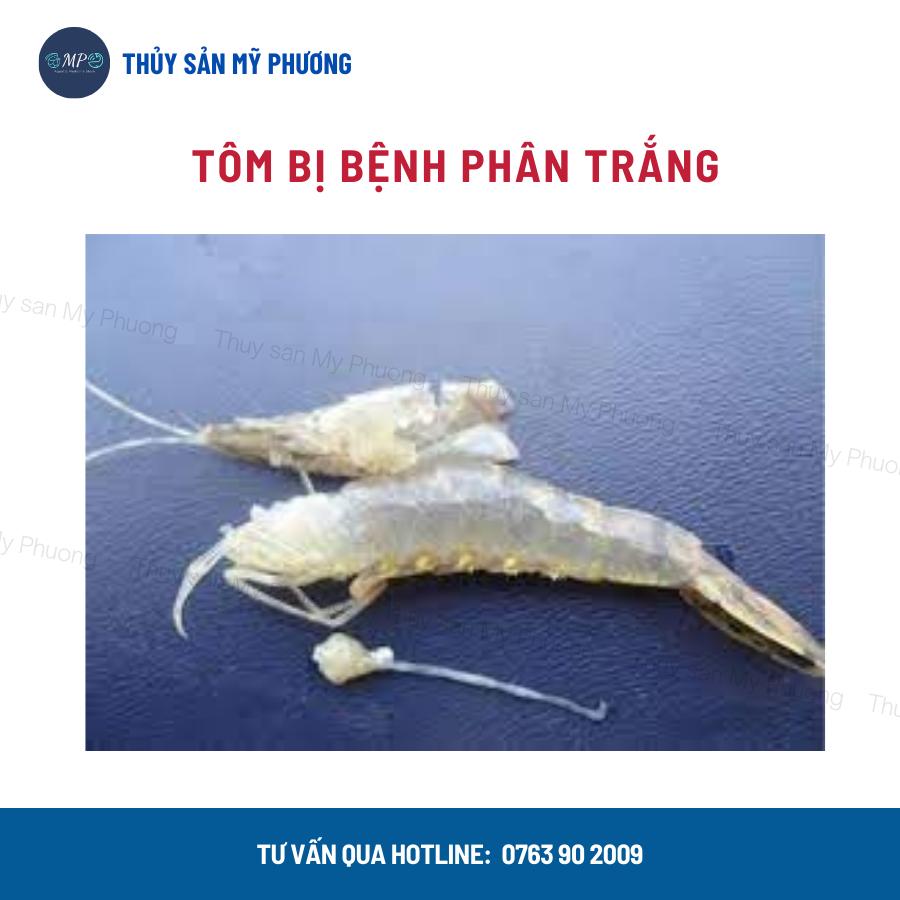 Men tiêu hóa enzyme Laczyme liquid nông to ngừa đường ruột kích thích ăn mồi tăng trọng đề kháng cho tôm thẻ cá lươn ếch
