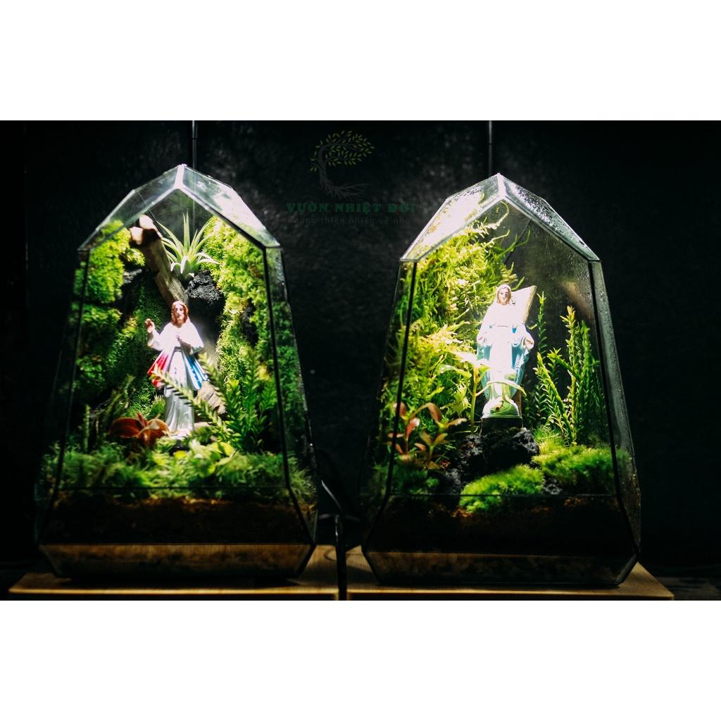 Bể Terrarium Đa Giác Setup Bán Cạn Để Bàn Làm Việc