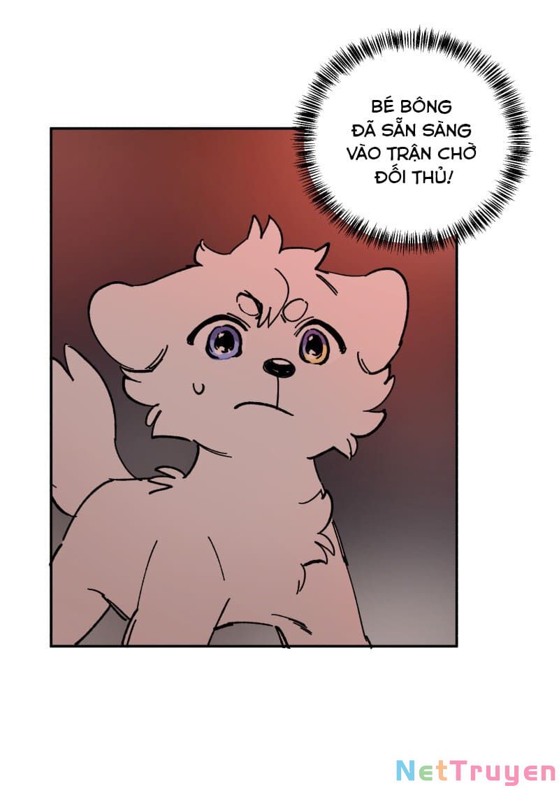 lumine - cội nguồn ánh sáng chapter 113 16