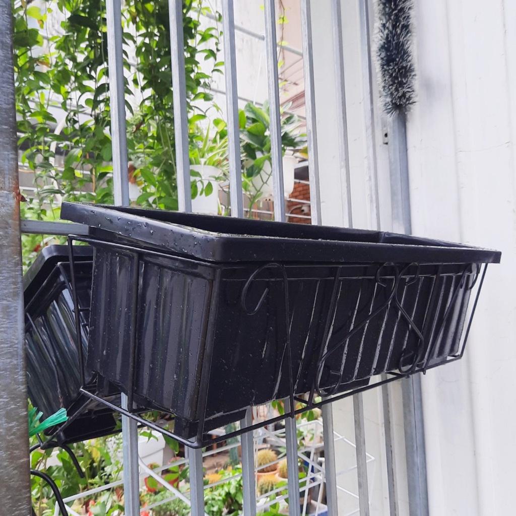 Combo 5 bộ khung sắt - chậu chữ nhật 65*25*20cm trồng hoa, rau treo lan can tiết kiệm không gian