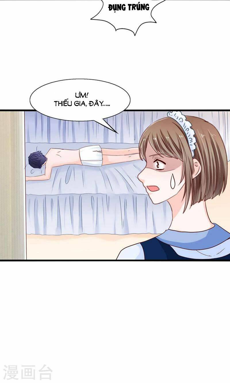 tôi bị gấu trúc nhìn trúng rồi chapter 19 15