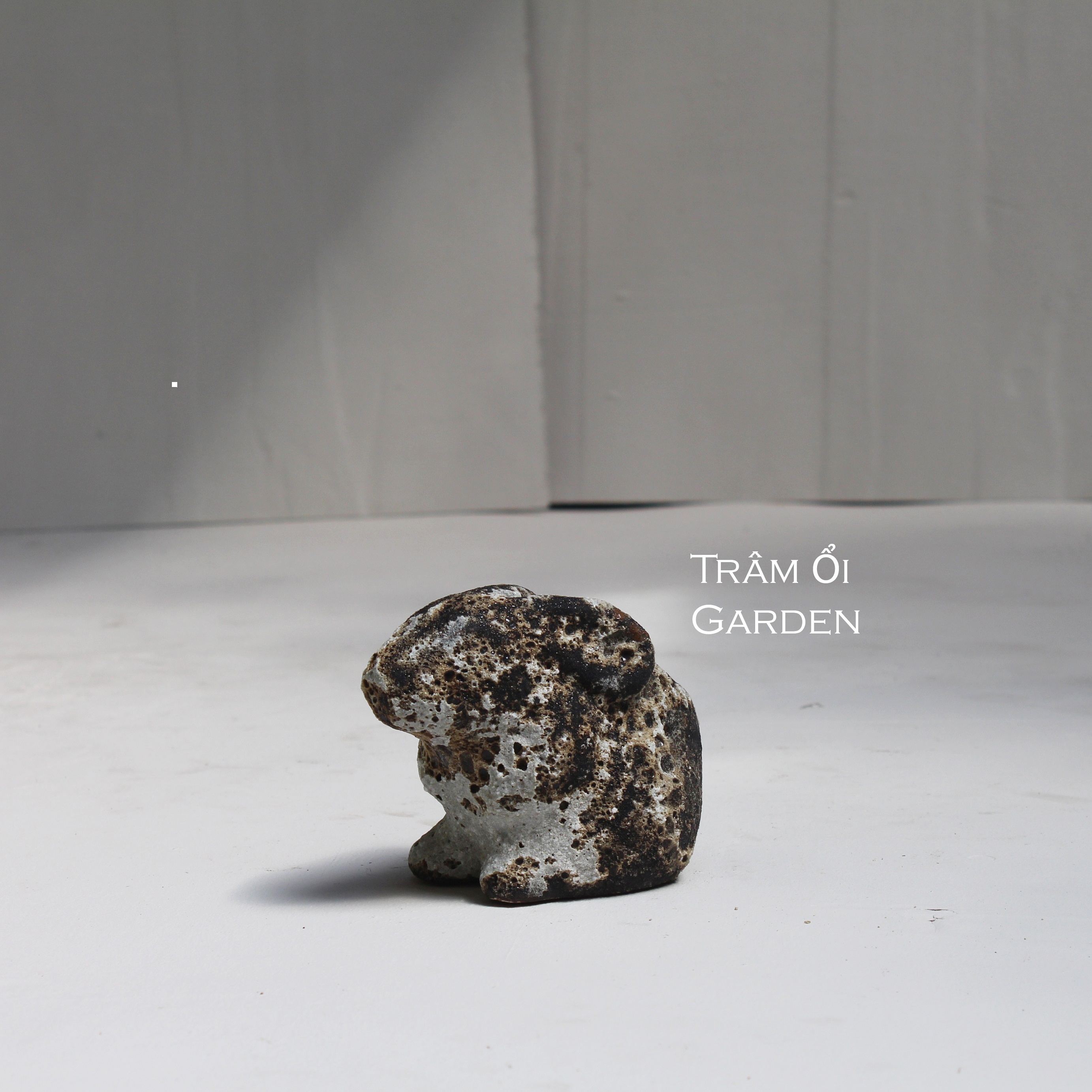 Chậu gốm và cây cảnh