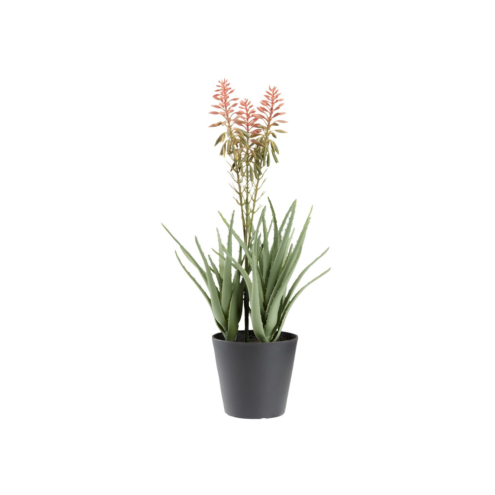 Cây trang trí | JYSK Rasmus | nhựa PE/thép | xanh lá/đỏ | C51cm