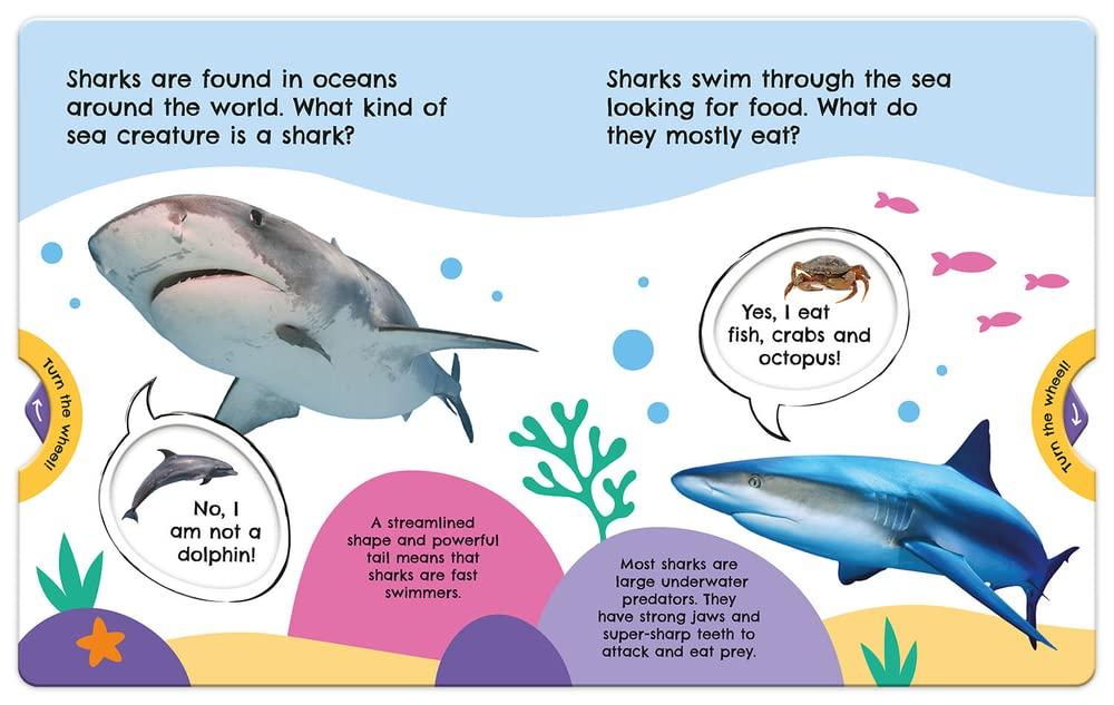 First Facts Sharks (Turn-the-Wheel Books)