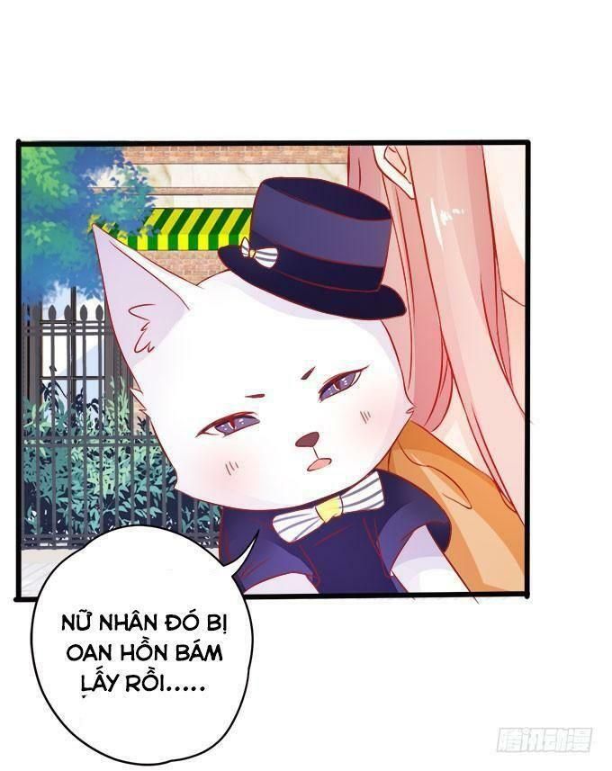 hồ tiên hung bạo chapter 15 17