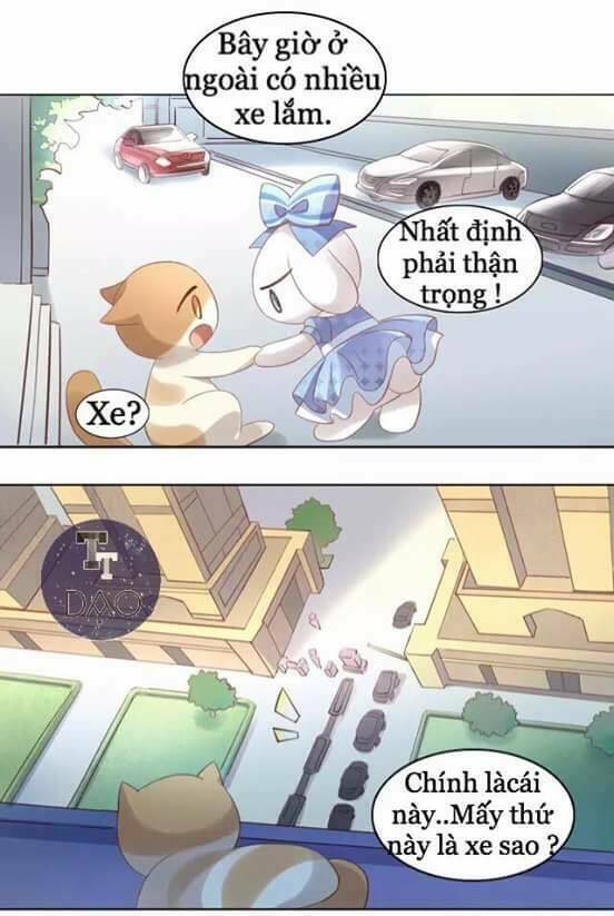 dưới móng vuốt mèo chapter 7 36