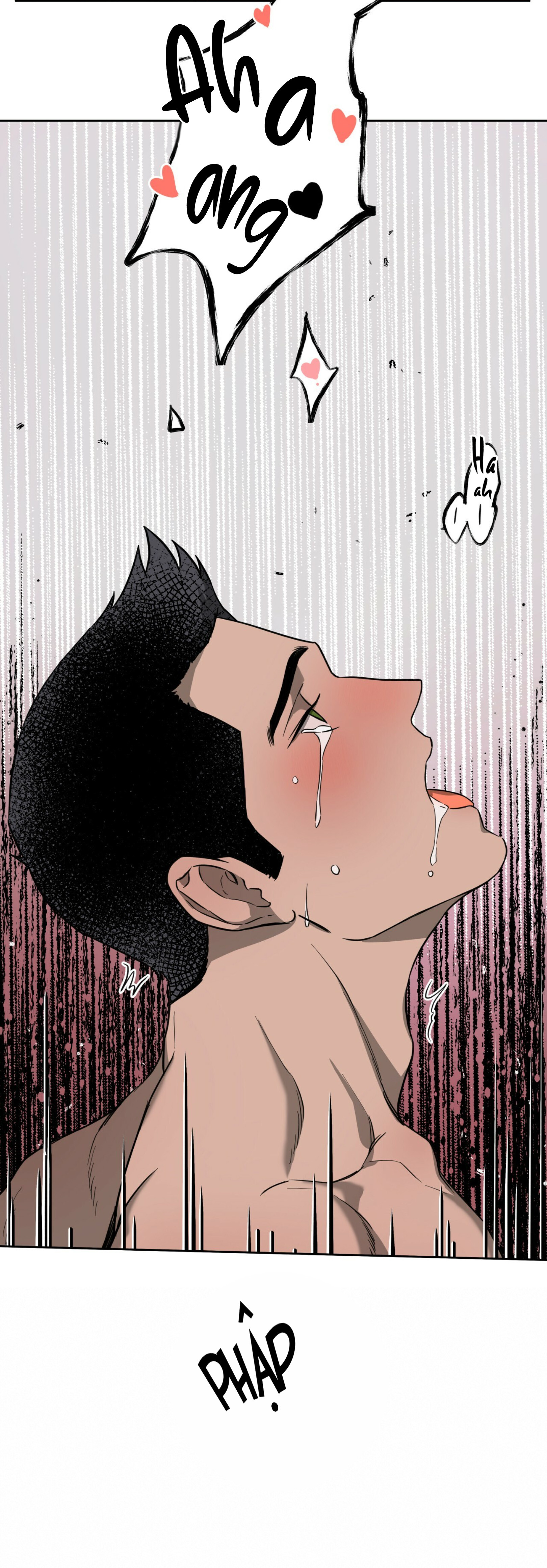 ang ang chapter 14 29