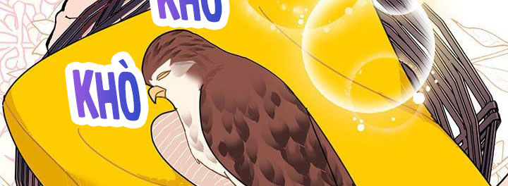 công chúa của loài chim chapter 51.1 222