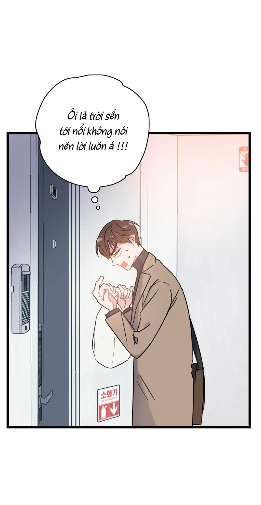 tình yêu bình dị nhất chapter 12 40