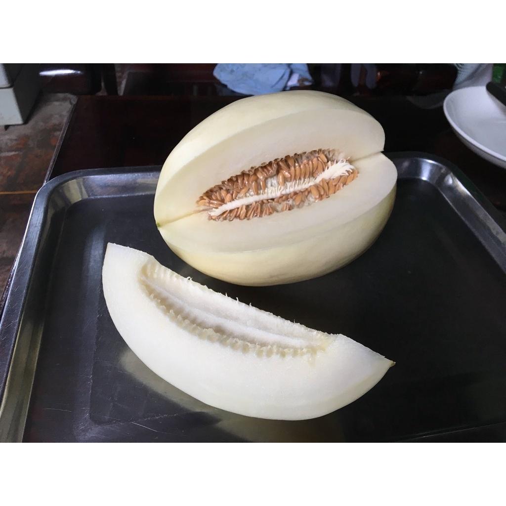 Hạt giống Dưa Bạch Mã F1 - Dưa Lê Siêu Ngọt 1-1,5kg/quả túi 2g