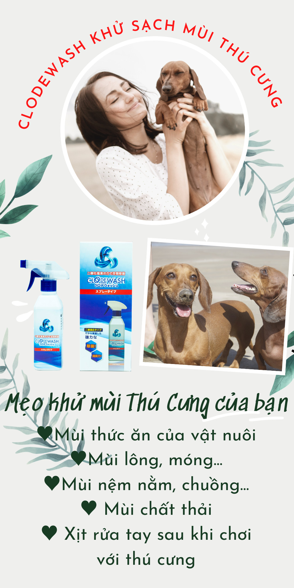 Chai xịt khử mùi thuốc lá, mùi hôi, mùi ẩm mốc, mùi thức ăn...công nghệ Nhật Bản CLODEWASH 300ml