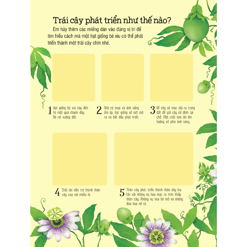 First Sticker Book - Sách Dán Hình Đầu Đời Cho Bé - Trái Cây Và Rau Củ