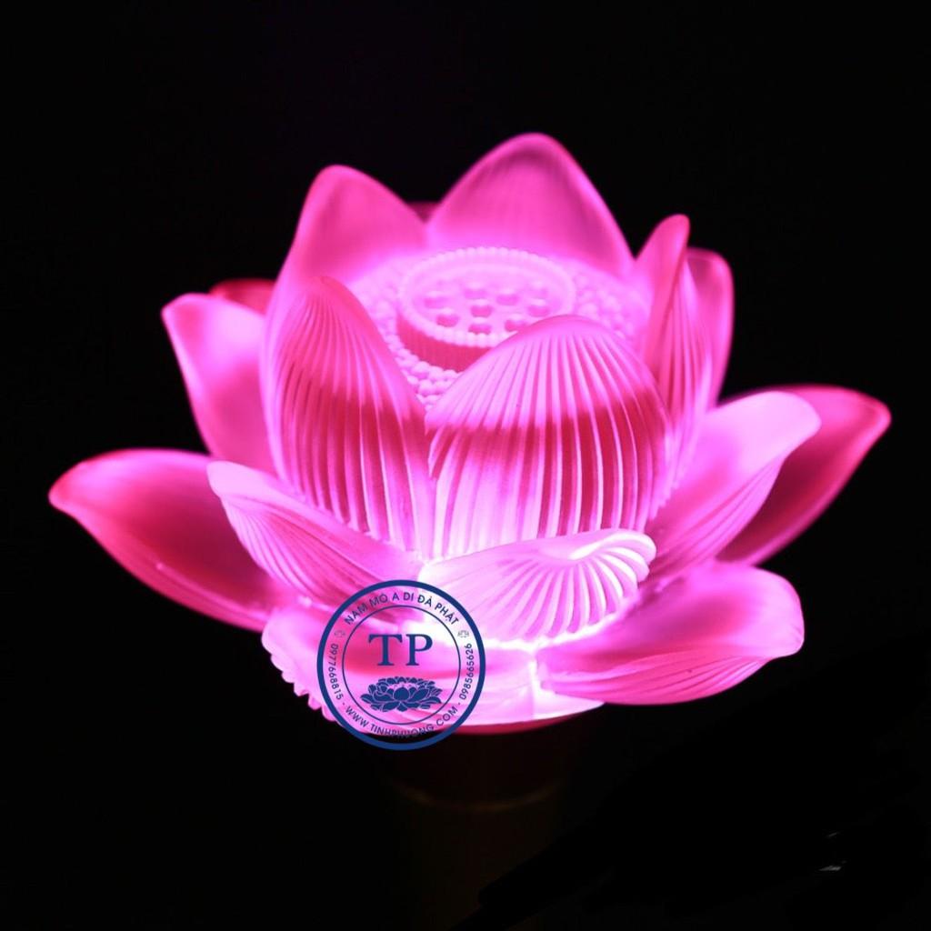 ĐÔI ĐÈN 1 BÔNG HOA SEN NỞ THỦY LƯU LY CỔ NGẮN CAO 31 CM TM121268