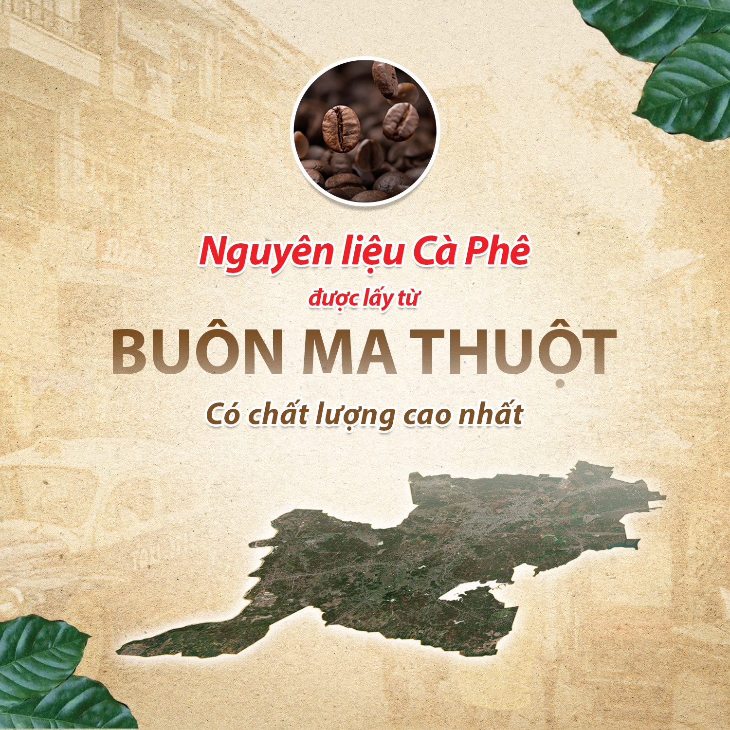 Cà Phê Sữa Rang Xay Hòa Tan 3IN1 LOVE’IN SAIGON CAFE - Khánh Hòa NutriFoods Thơm Ngon Hơn, Đậm Đà Hơn (Hộp 12 gói x 18g)