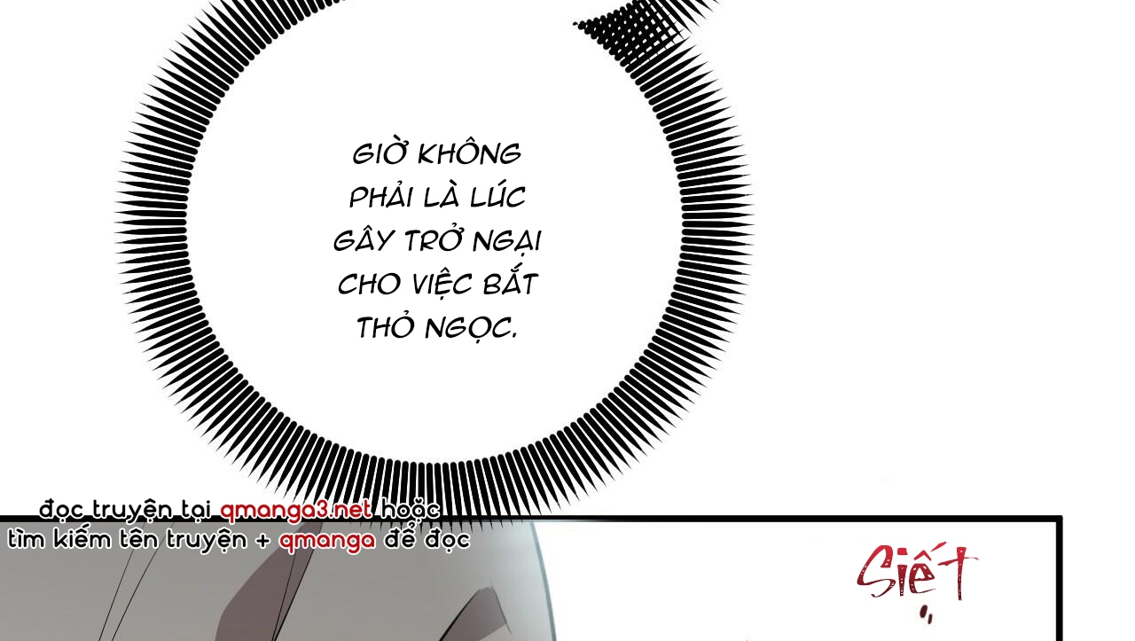 đàn thỏ của habibi chapter 48 248