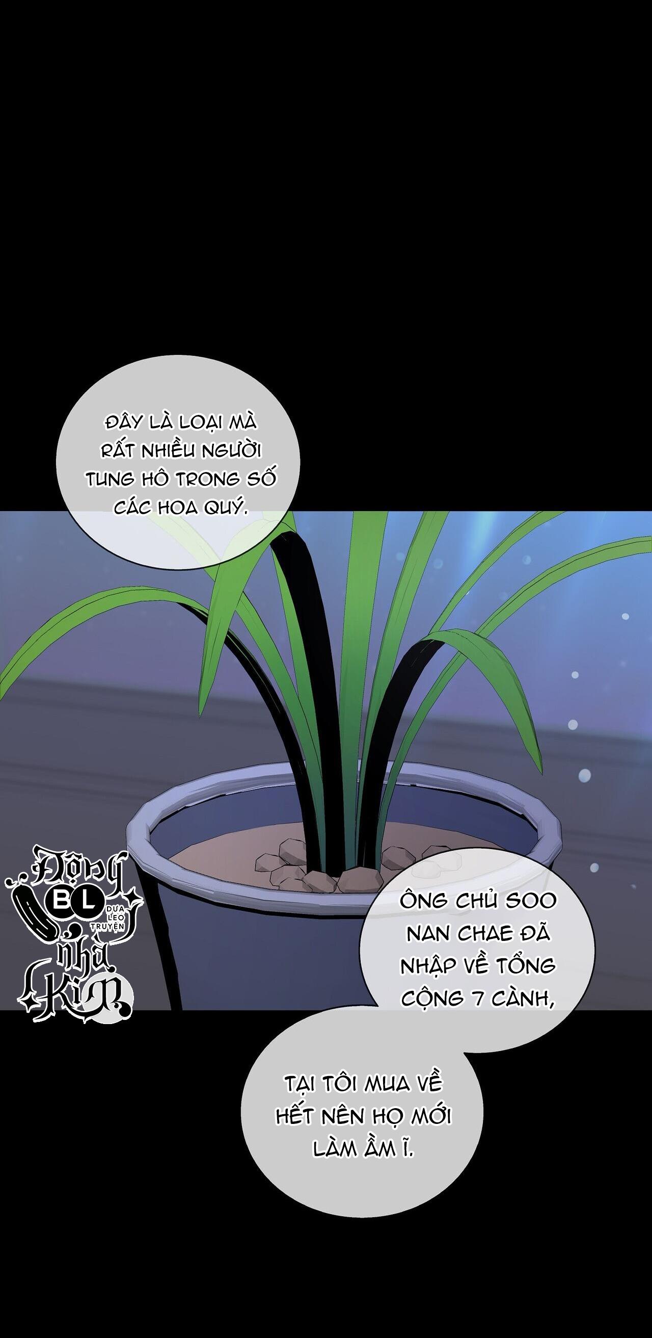 blaze out chapter 15 65