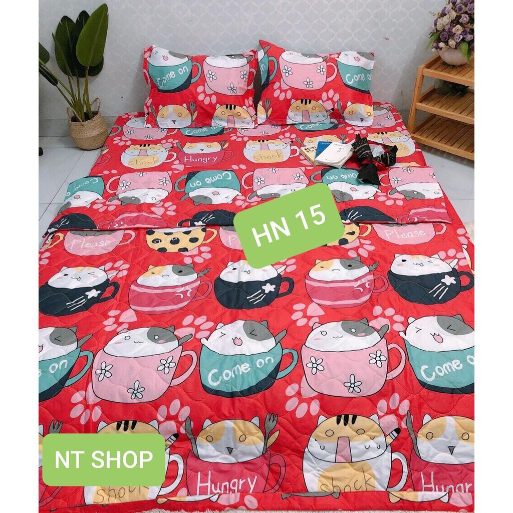 Set 5 Món ga chun 2 vỏ gối đầu ,chăn hè cotton mẫu khủng long bơ