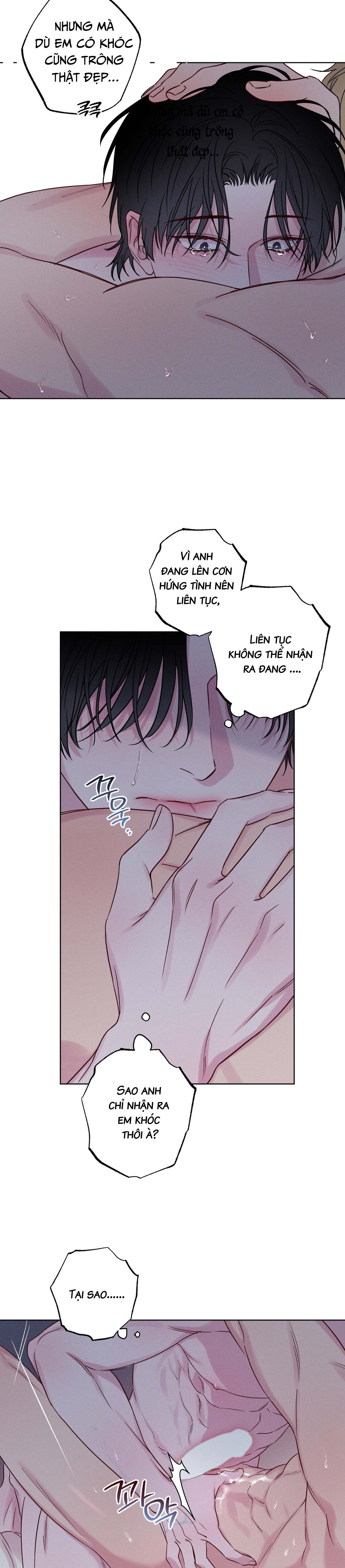 làn sóng bên bờ biển chapter 6 17