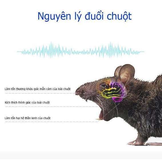 Máy Đuổi Chuột/ Muỗi/ Công Trùng Bằng Sóng Siêu Âm Phạm Vi 100m, An Toàn Tiện Dụng