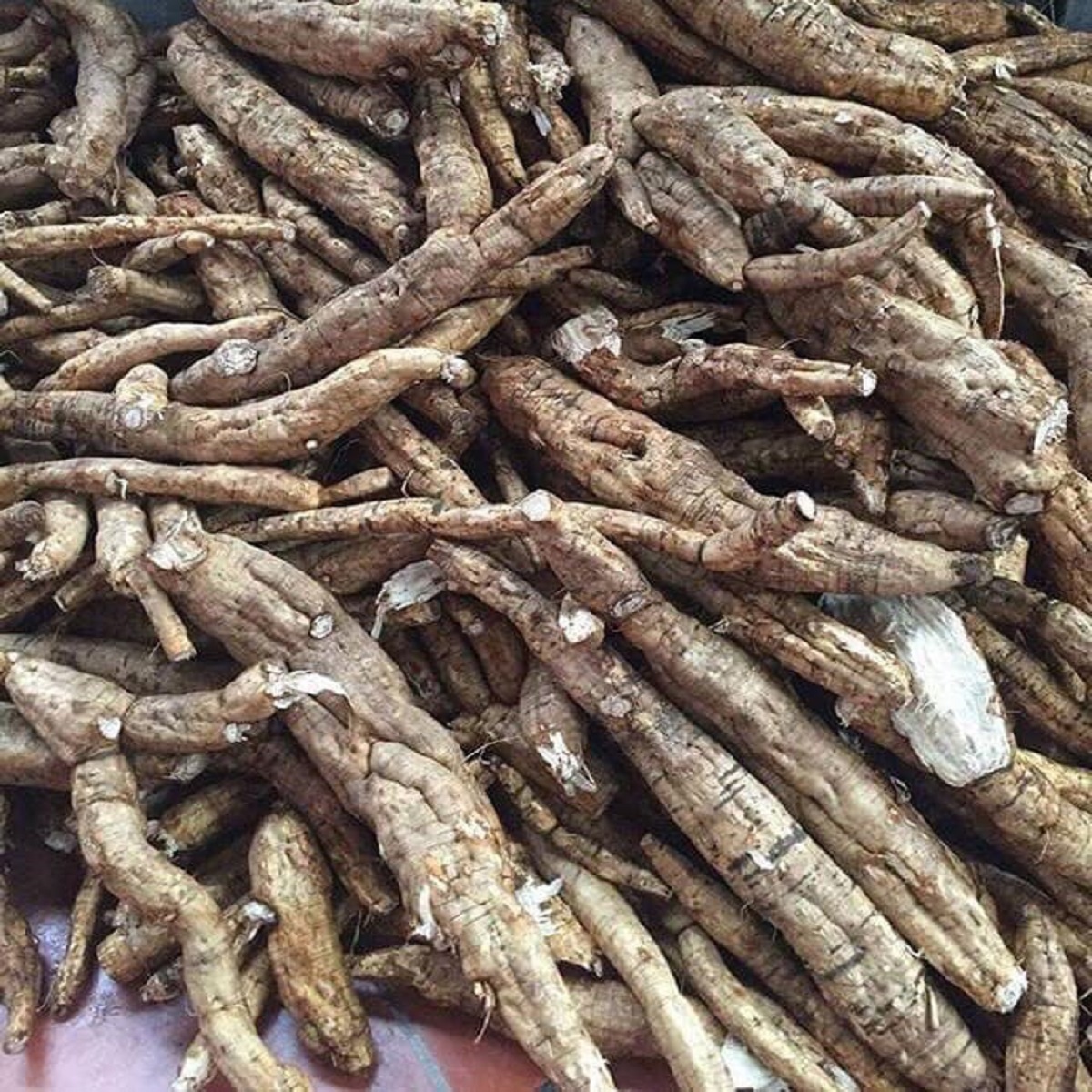 BỘT SẮN DÂY TA HỮU CƠ MẸ KEN 2KG