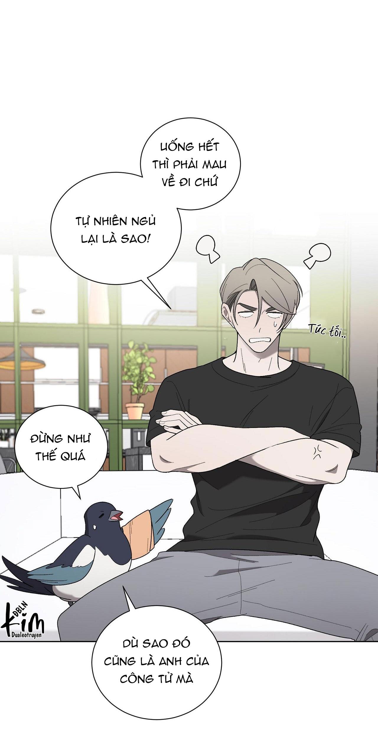 khi chim thước đến chapter 19 2