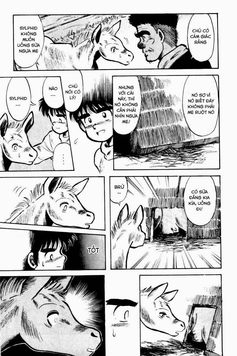 kaze no sylphid - phong mã silphid chapter 2 10