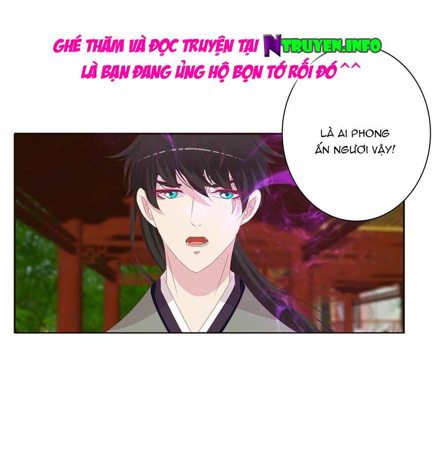 tướng quân mời ra trận chapter 185 16