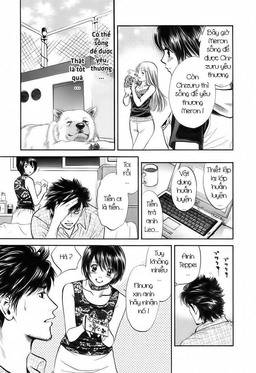cô nàng yêu chó chapter 39 17