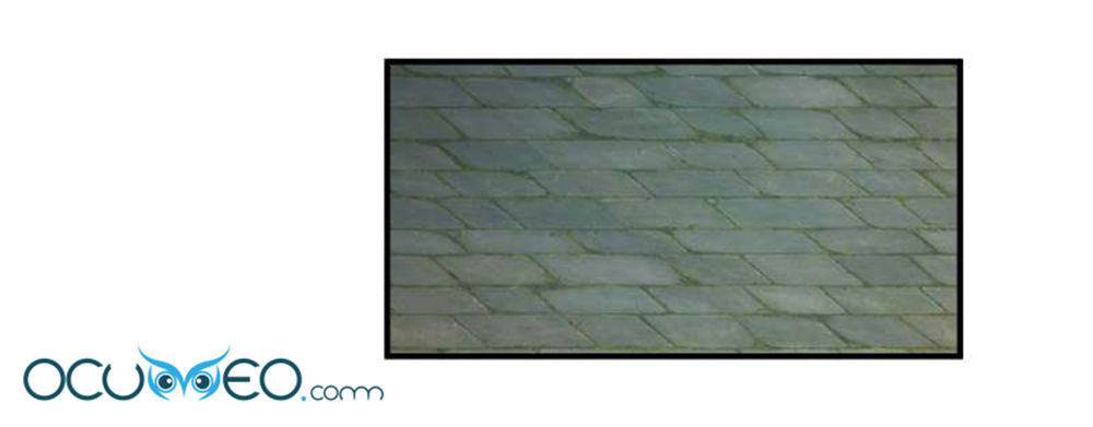 từ đây vương gia không thượng triều sớm chapter 69 23