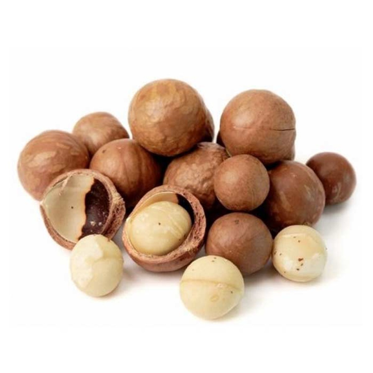 [COMBO] 2 Túi 500g Hạt Macca Úc nứt vỏ nhập khẩu Real Food