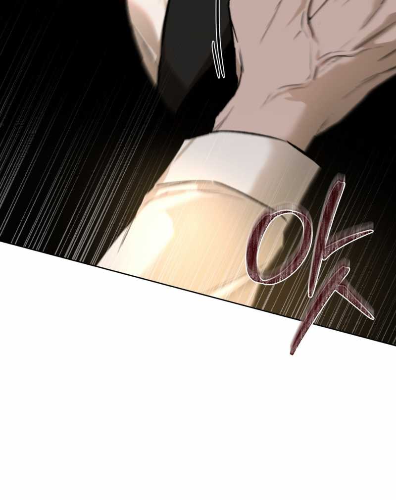 codename anastasia chapter 38.2 13