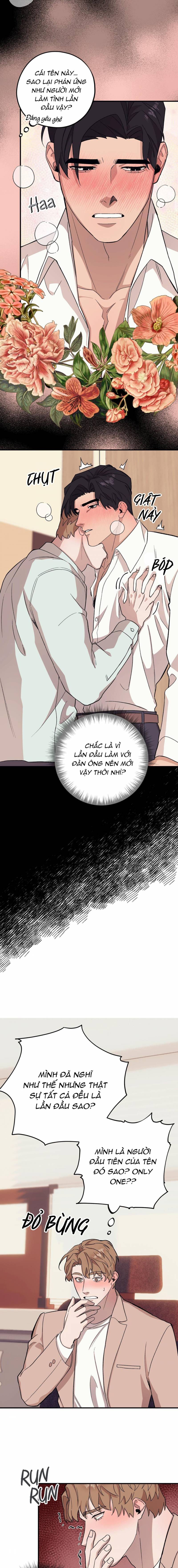 chàng dâu nhà họ kang chapter 49 11