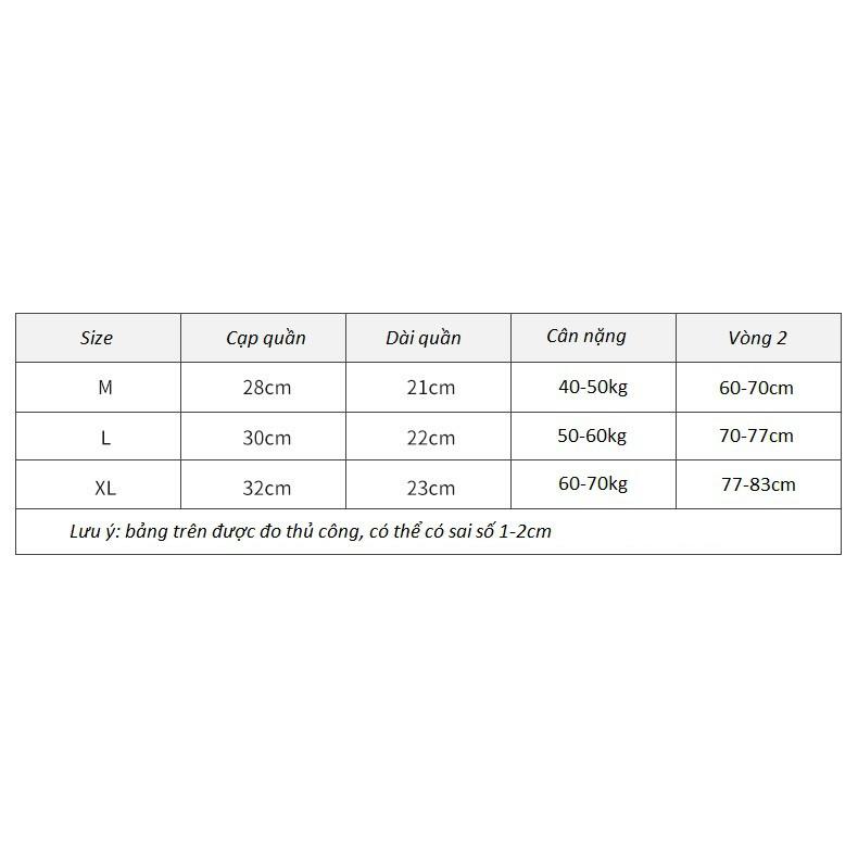 Quần Lót Nữ Băng Lụa Không Hằn Không Đường May Kháng Khuẩn Thoáng Khí P395