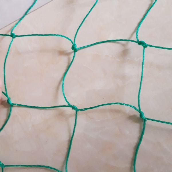 Lưới giàn leo 2 x 3 mét