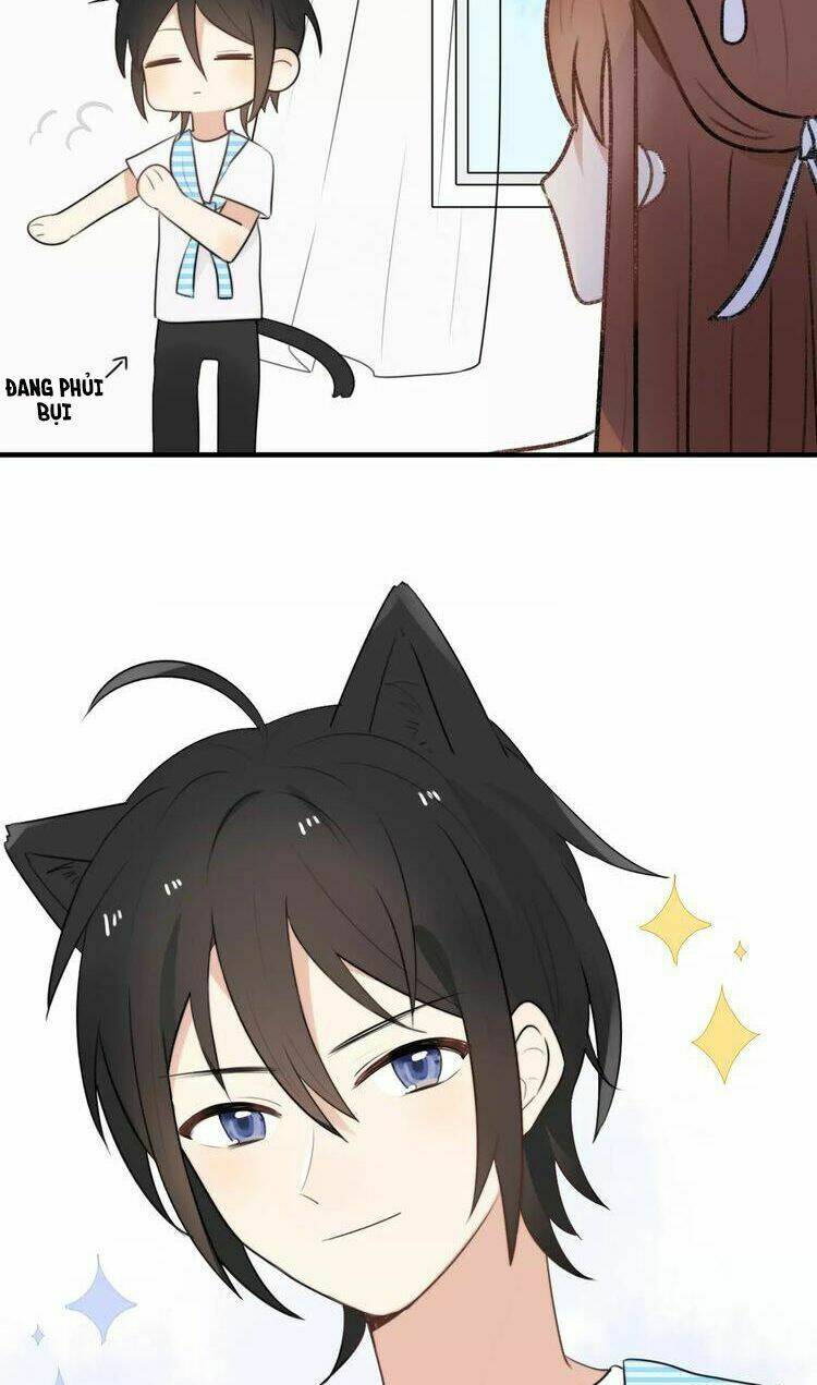 tiểu miêu và hắc diệu thạch chapter 5 25