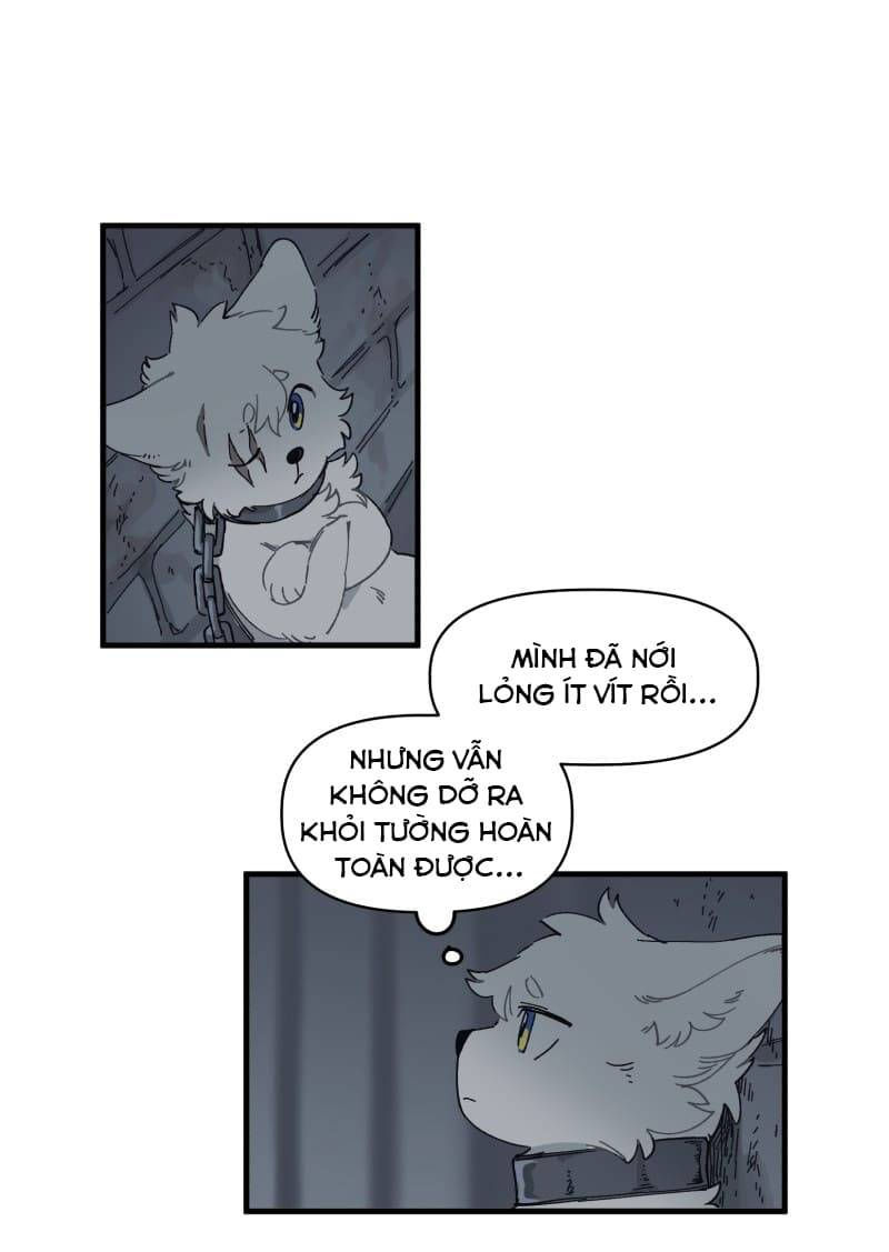lumine - cội nguồn ánh sáng chapter 141 3
