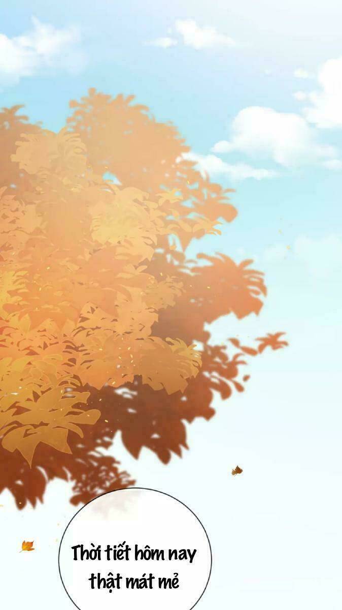 từ cái nhìn của em chapter 35 3