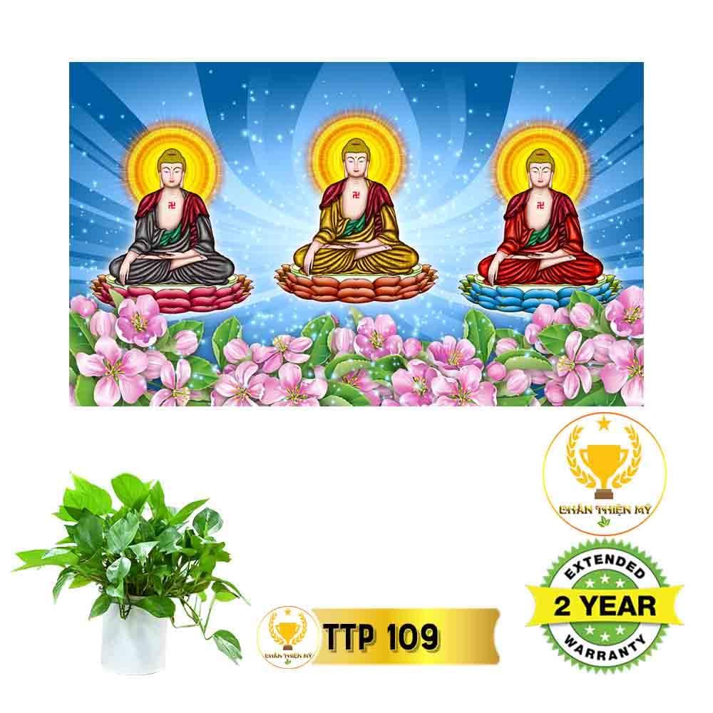 Tranh Tam Thế Phật có khung_TTPK9