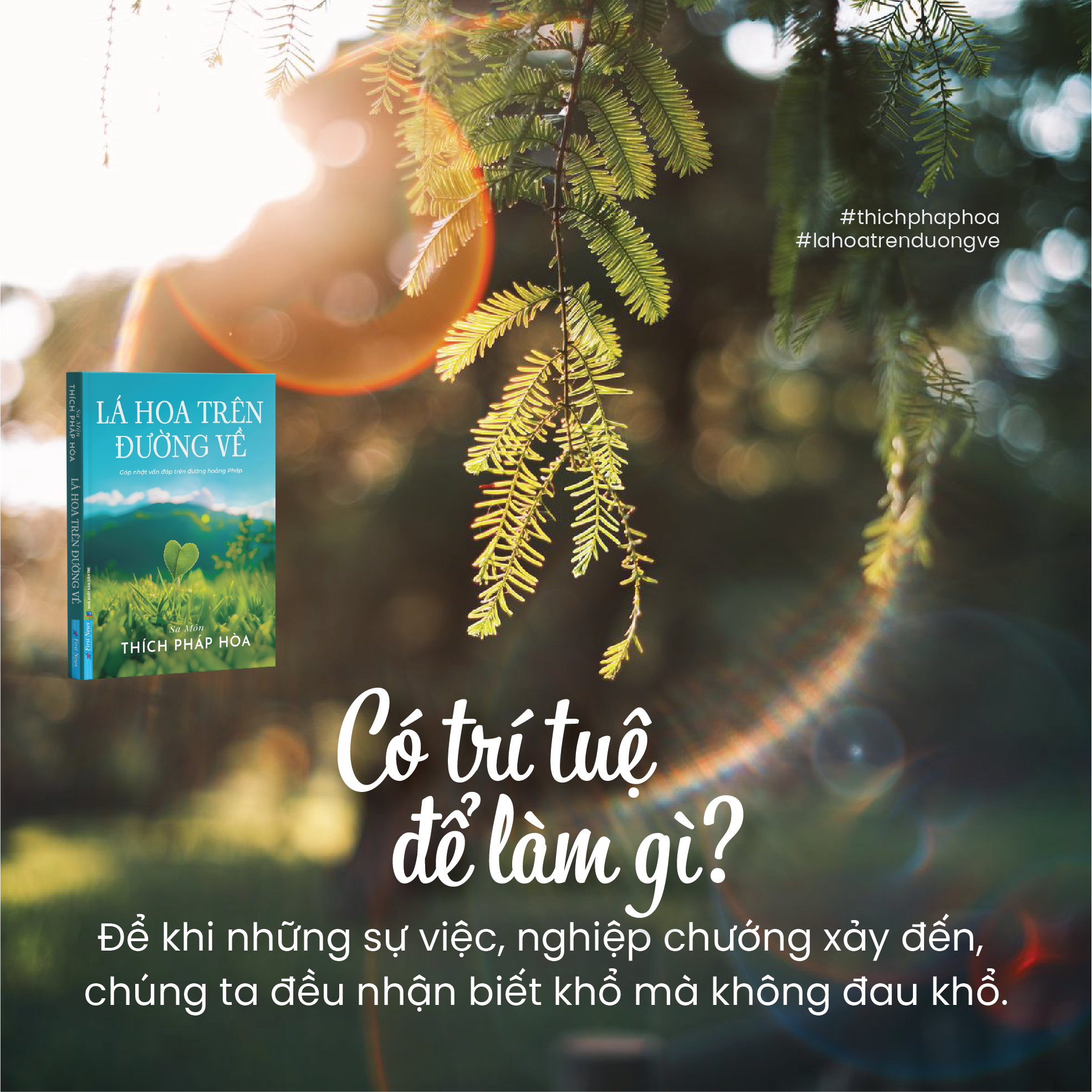 Sách Lá hoa trên đường về - Thầy Thích Pháp Hoà