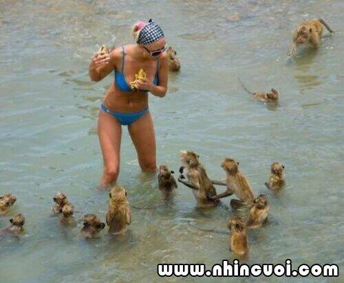 hình ảnh hài hước new chapter 5 24