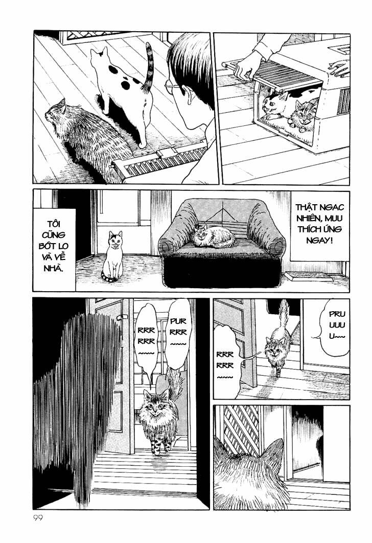 ito junji cat's diary chapter 9 9