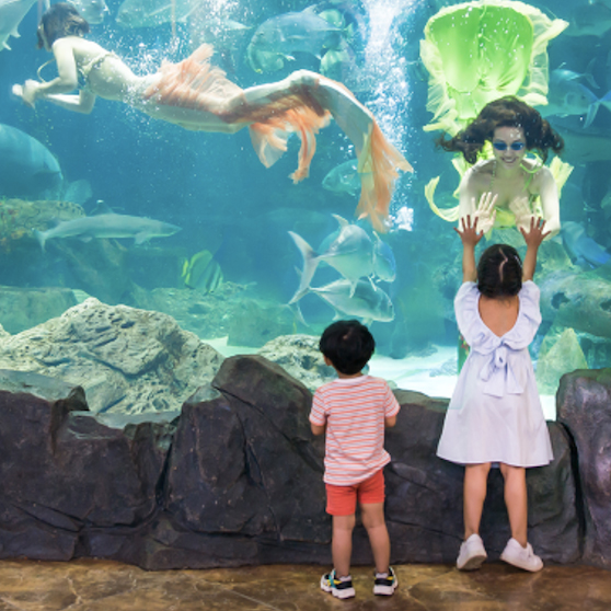 Vé vào cửa em bé tại Thủy Cung Aquarium - Áp dụng cho khách hàng từ 80cm đến dưới 140 cm (T7, CN, Lễ)