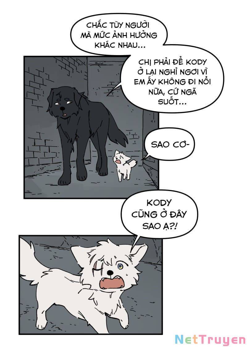 lumine - cội nguồn ánh sáng chapter 160 12