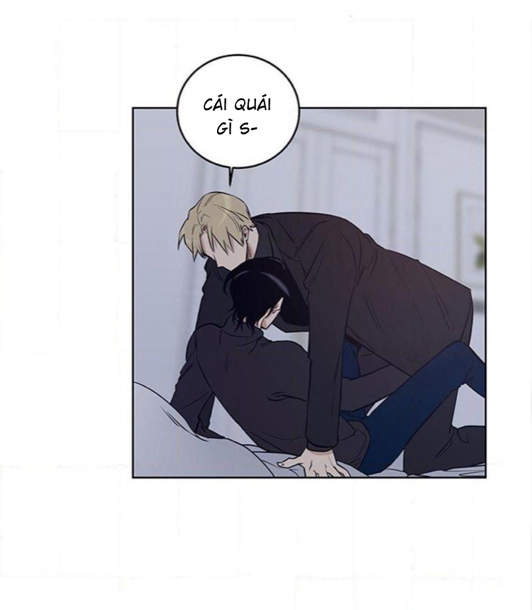 thành phố cạm bẫy chapter 5 14