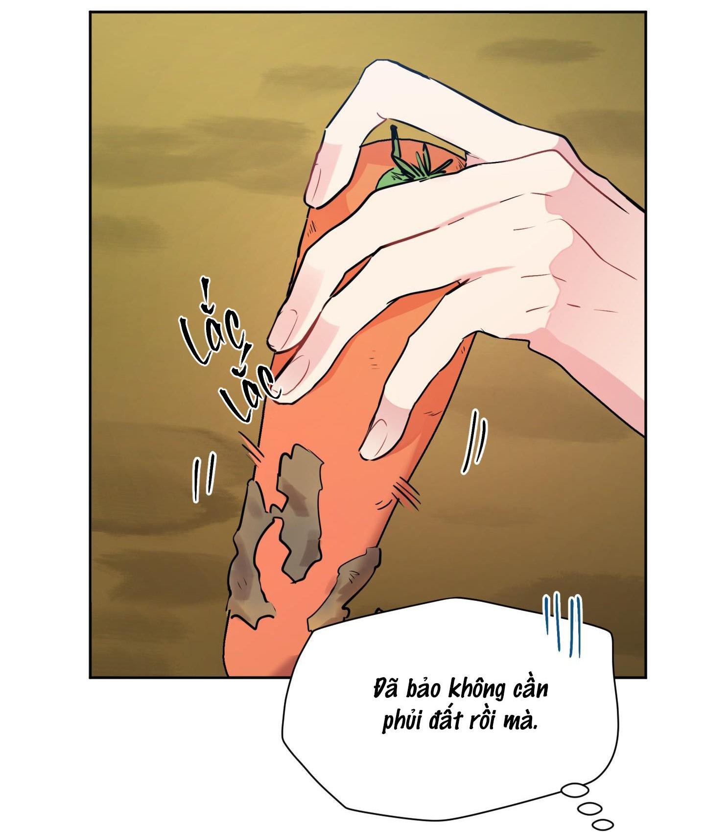 vị khách từ căn nhà phía sau chapter 4 33