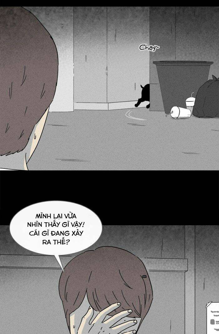 những câu chuyện bất thường chapter 238 23