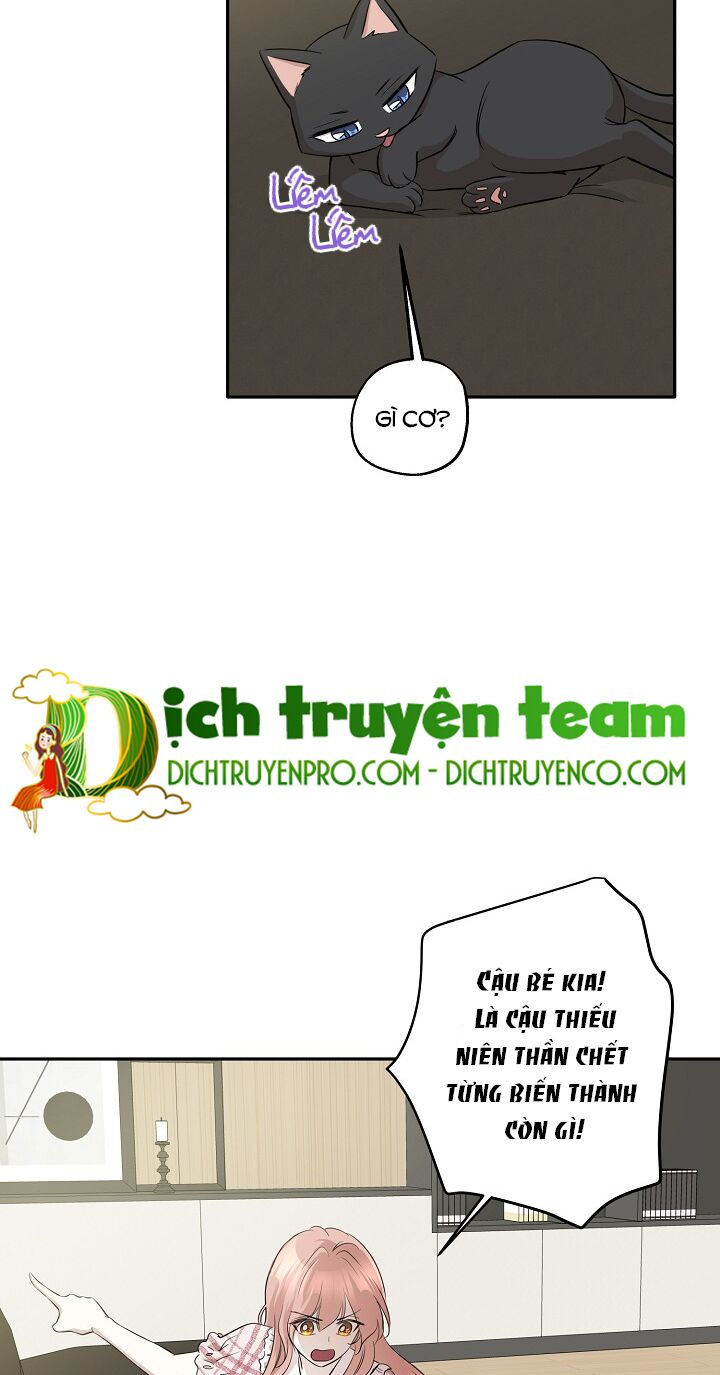 cuộc sống kỳ thú chapter 67 12